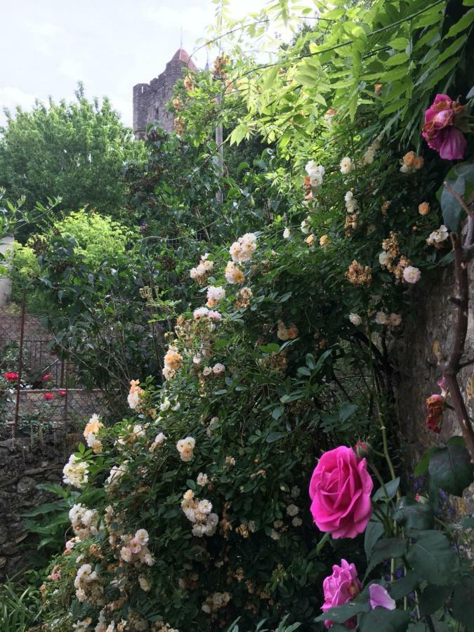 Cote Remparts Villa Carcassonne Exterior photo